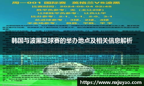 韩国与波黑足球赛的举办地点及相关信息解析